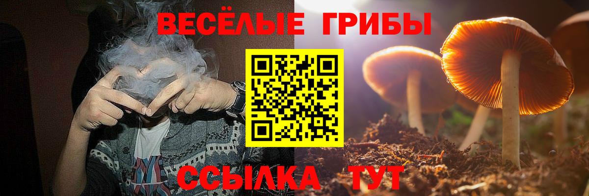 Галлюциногенные грибы GOLDEN TEACHER  Псилоцибиновые грибы Psilocybine cubensis  Вход с VPN  где купить наркоту  Киселёвск 
